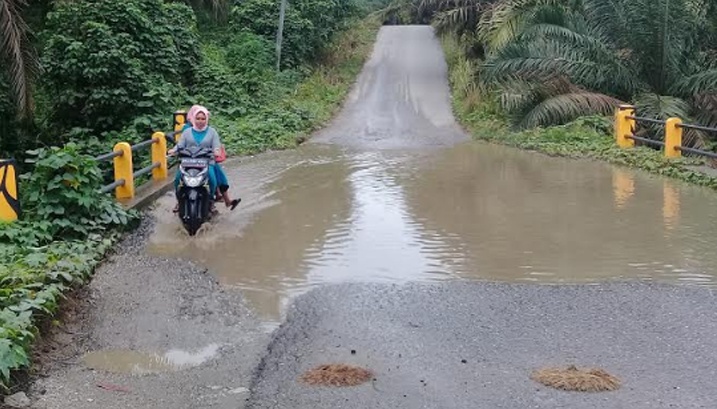 Sejumlah Jembatan di Sungaikanan Mirip Kolam  Ikan  