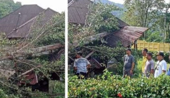 Badai Menerjang Empat Atap Rumah Warga di Sibolga
